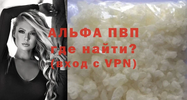 PSILOCYBIN Костерёво
