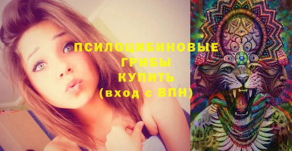 a pvp Коряжма