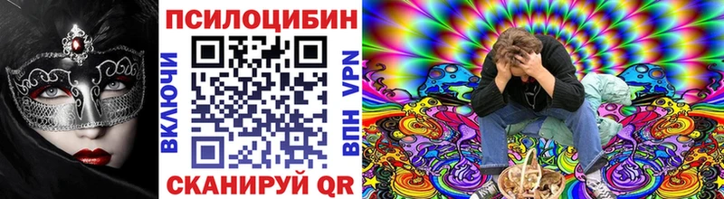 Купить где  Белебей  Псилоцибиновые грибы Magic Shrooms 
